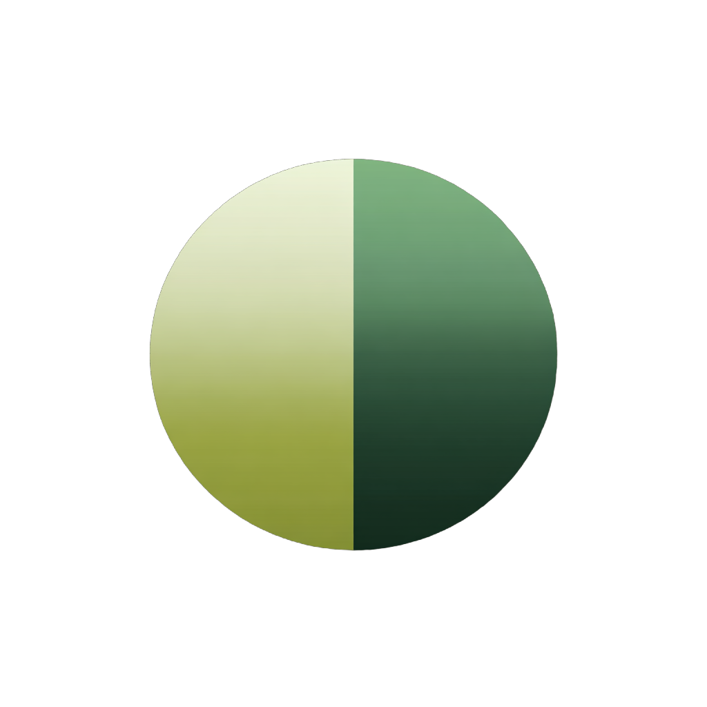Vadim 124 Test